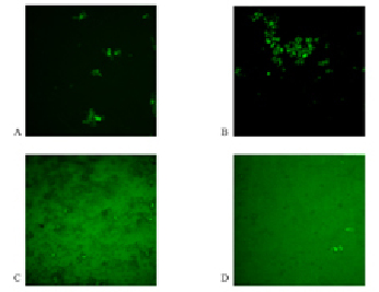 fig2 (1).tif
